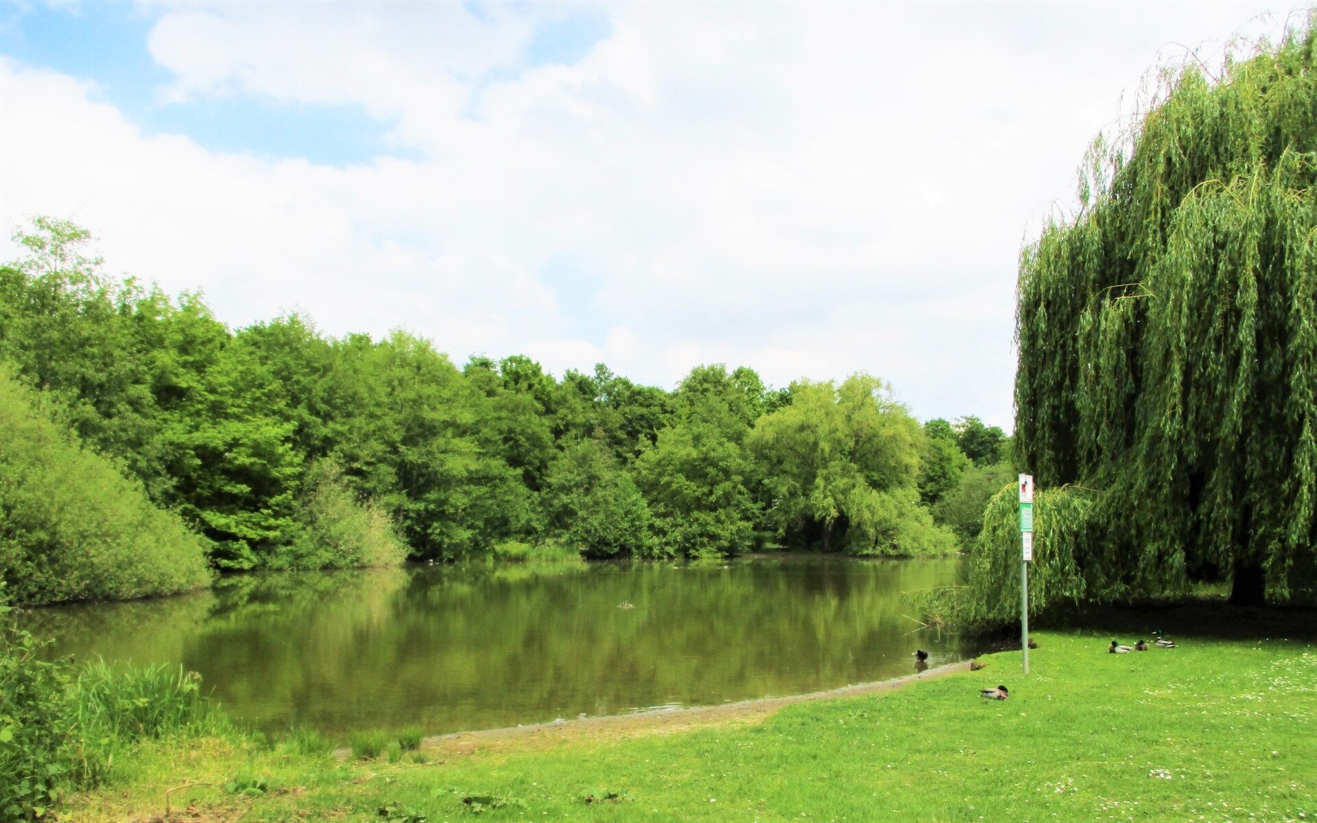 Martin-Luther-King-Park