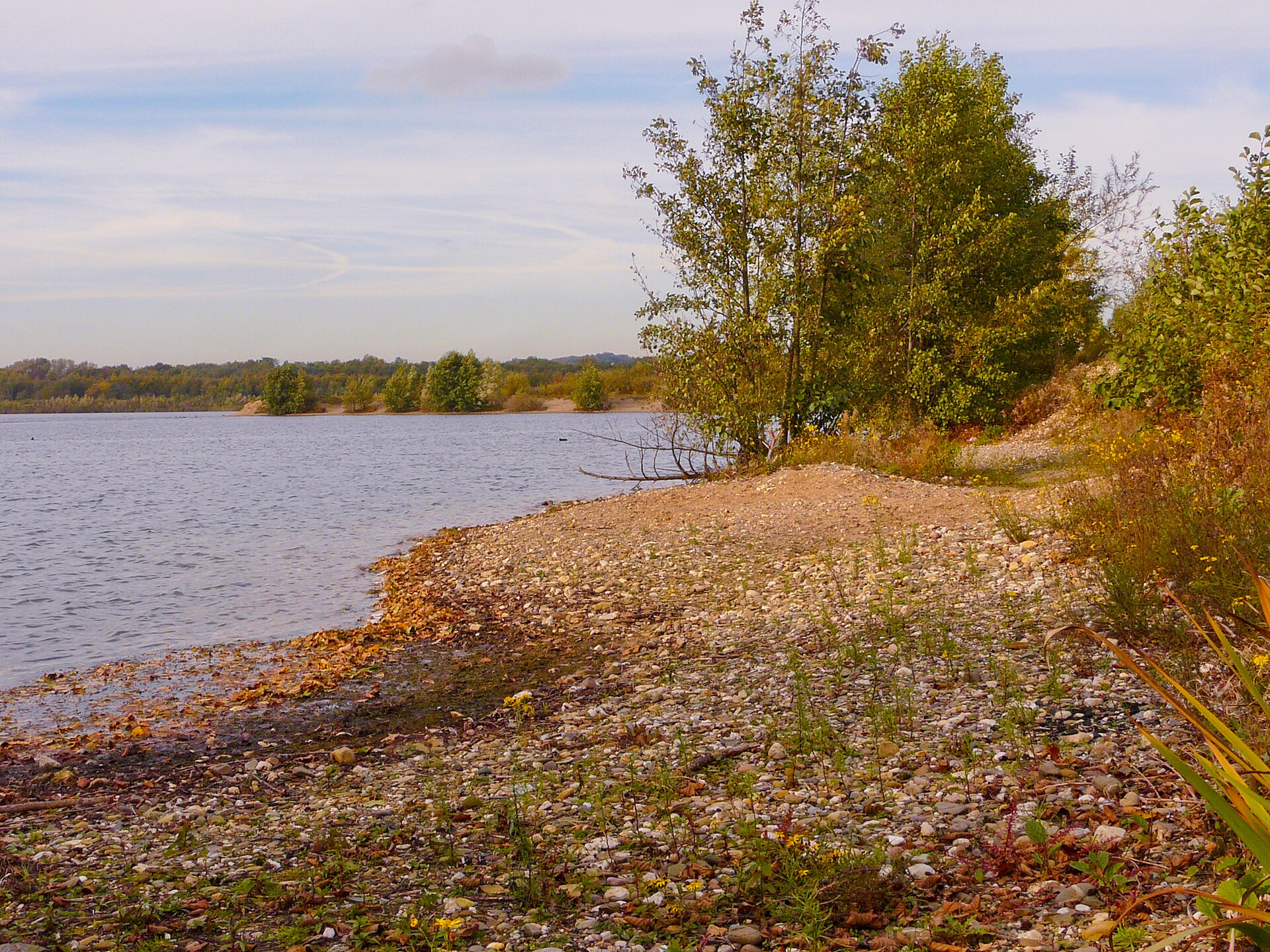 Elbsee