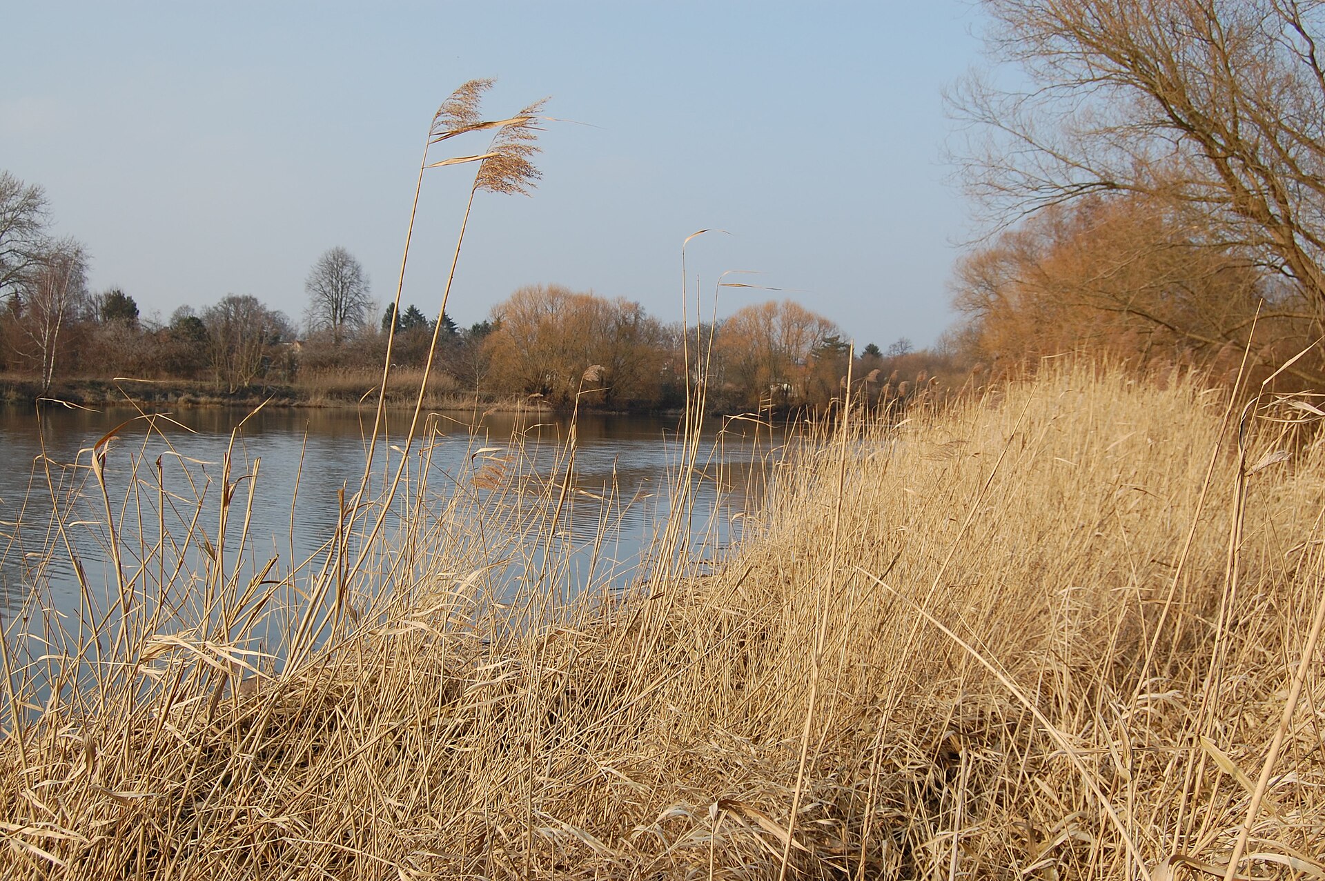 Wuhlebecken