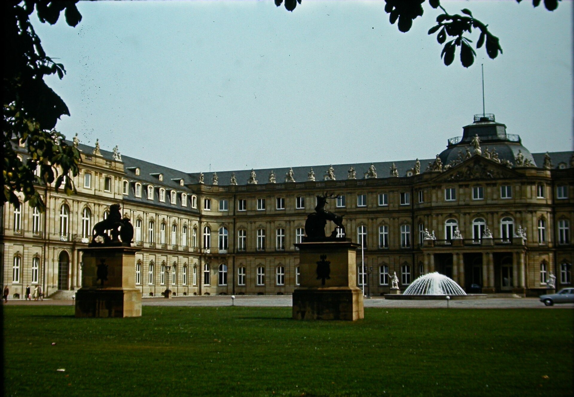 Hirsch