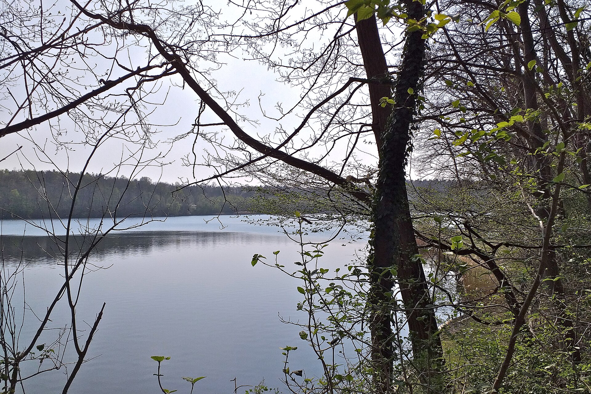 Berggeistweiher