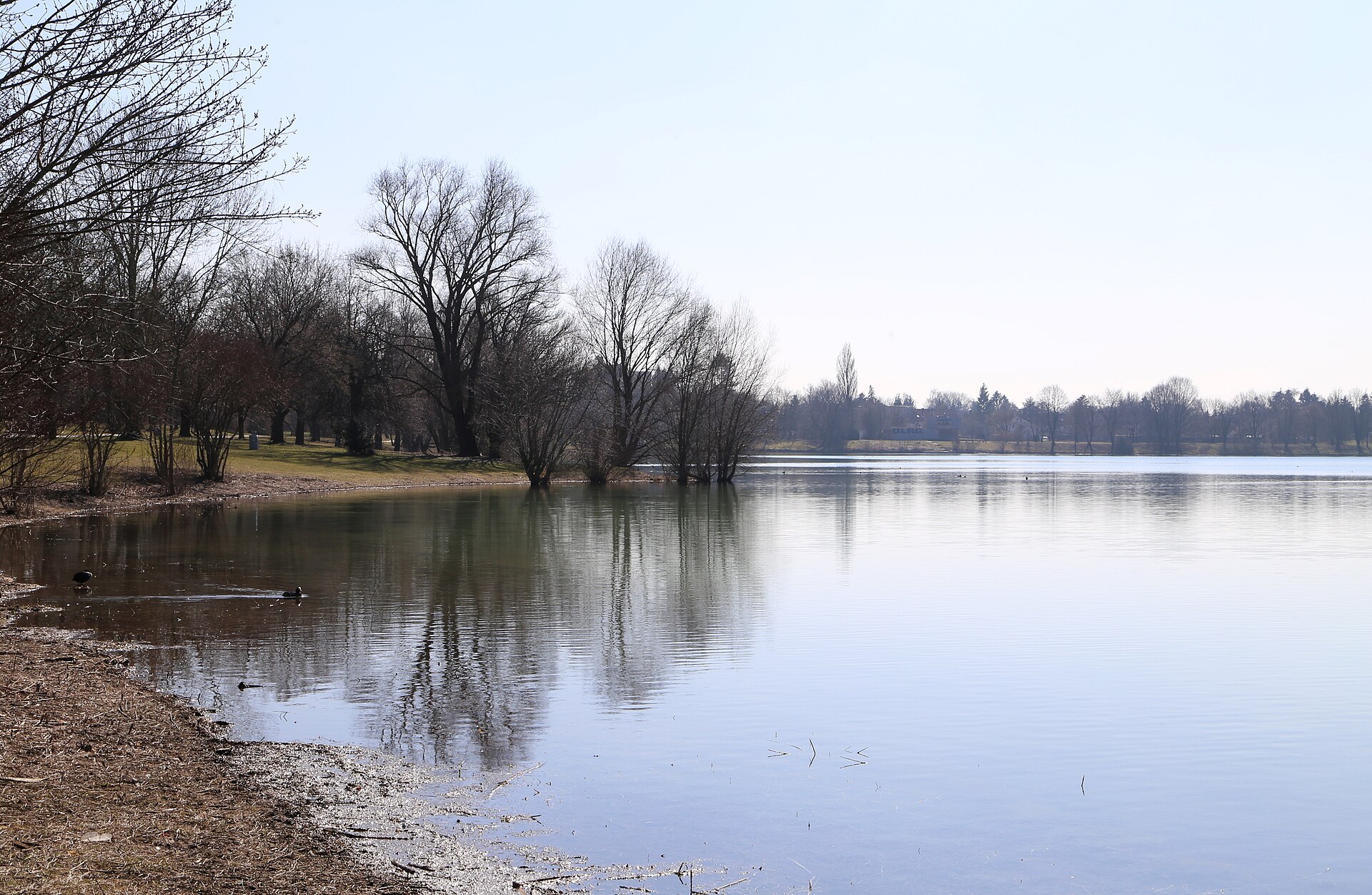 Fasaneriesee