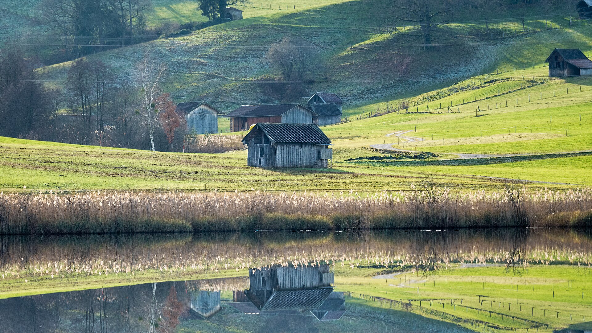 Froschhauser See