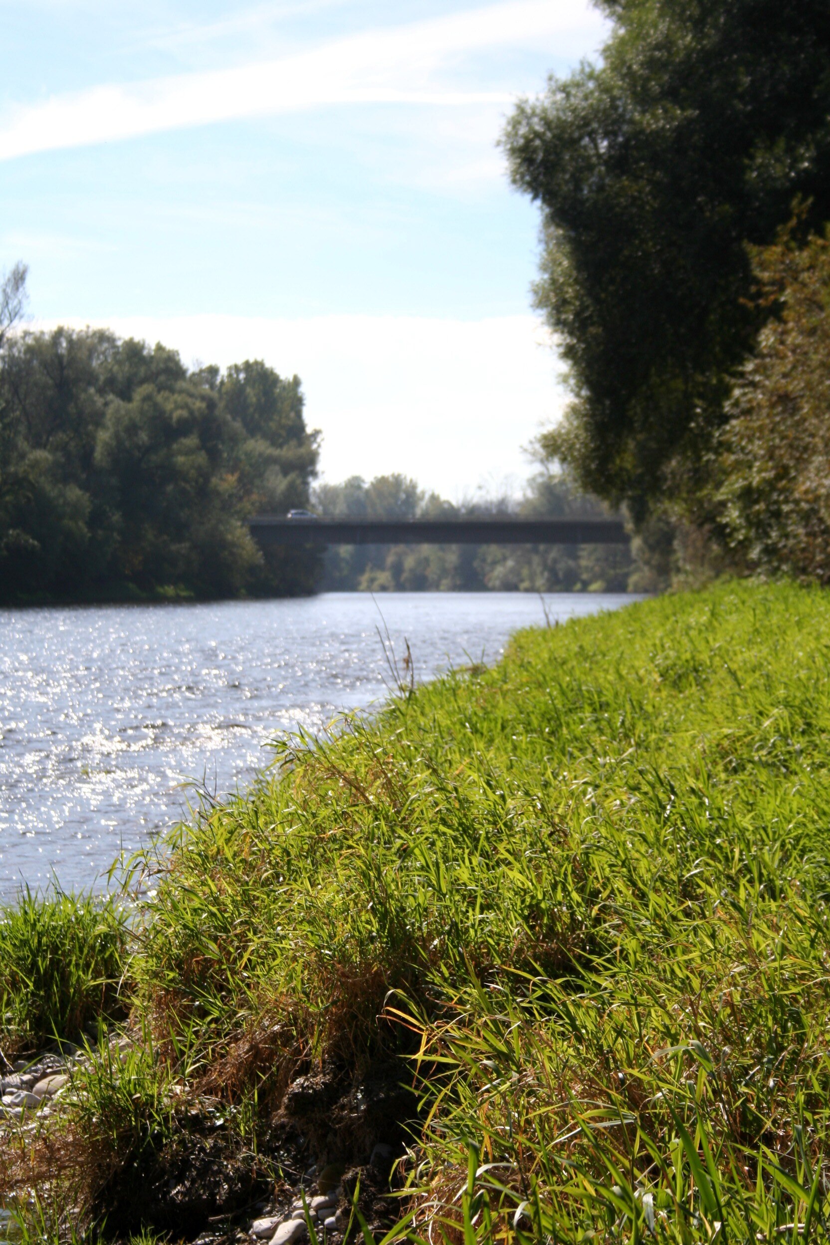 Schlüterbrücke