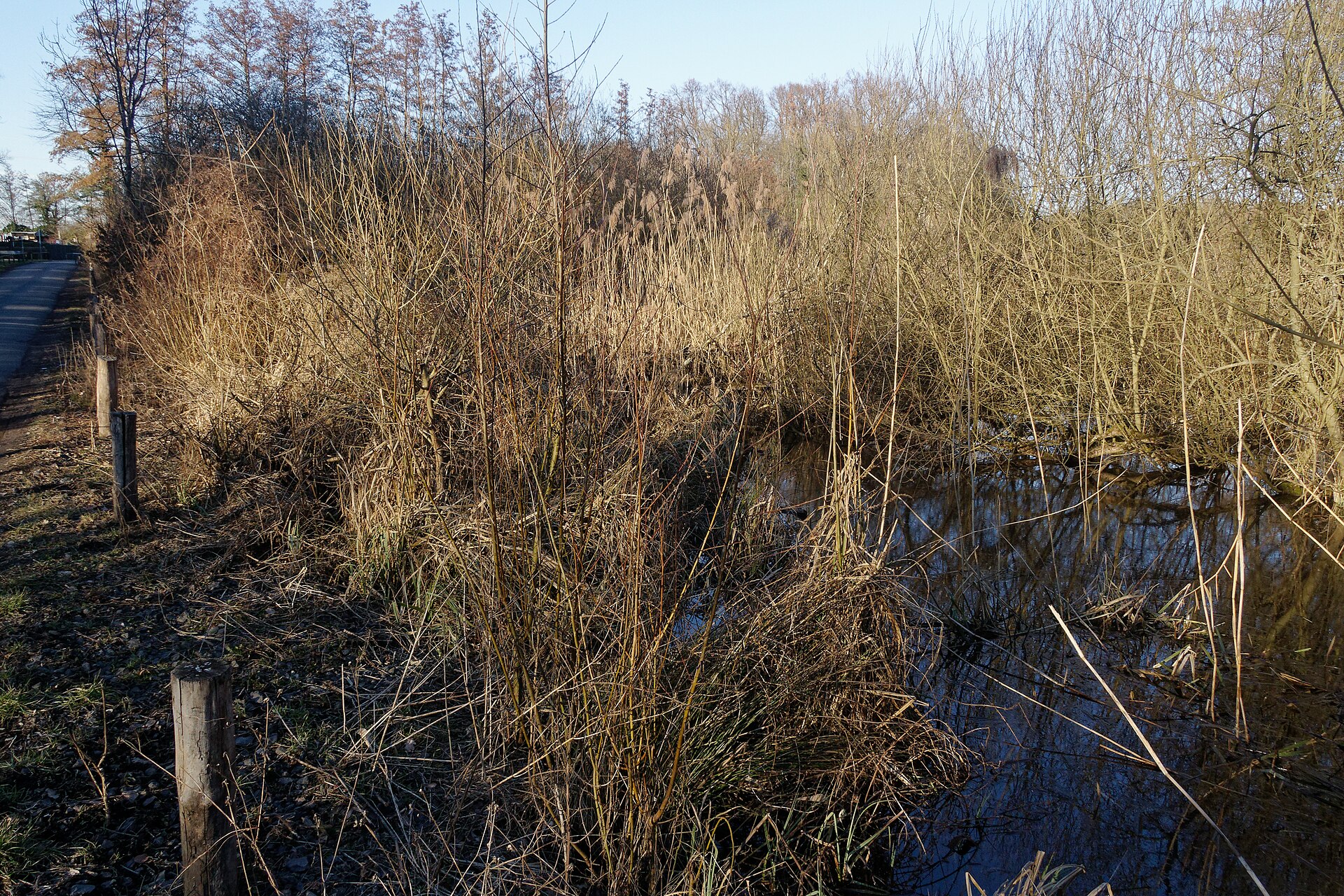 Untere Fasanerie von Klein-Auheim