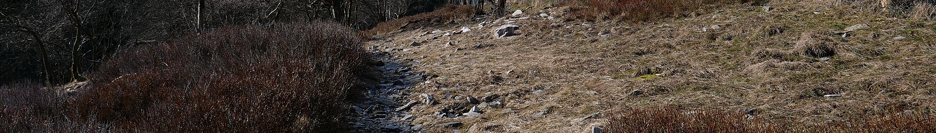 Kleiner Feldberg